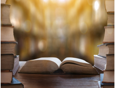 Lenguaje y Literatura 4to Grado